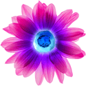 grafapex-flower